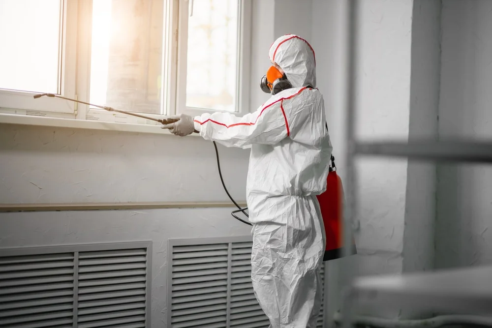 Professional mold remediation services in Florence, MS